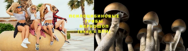 mdpv Дмитров