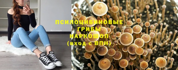 mdpv Дмитров