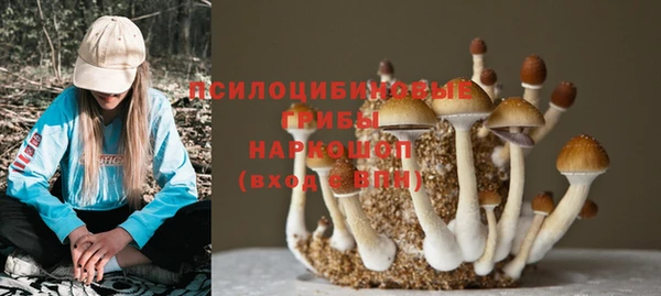 кристаллы Дмитриев